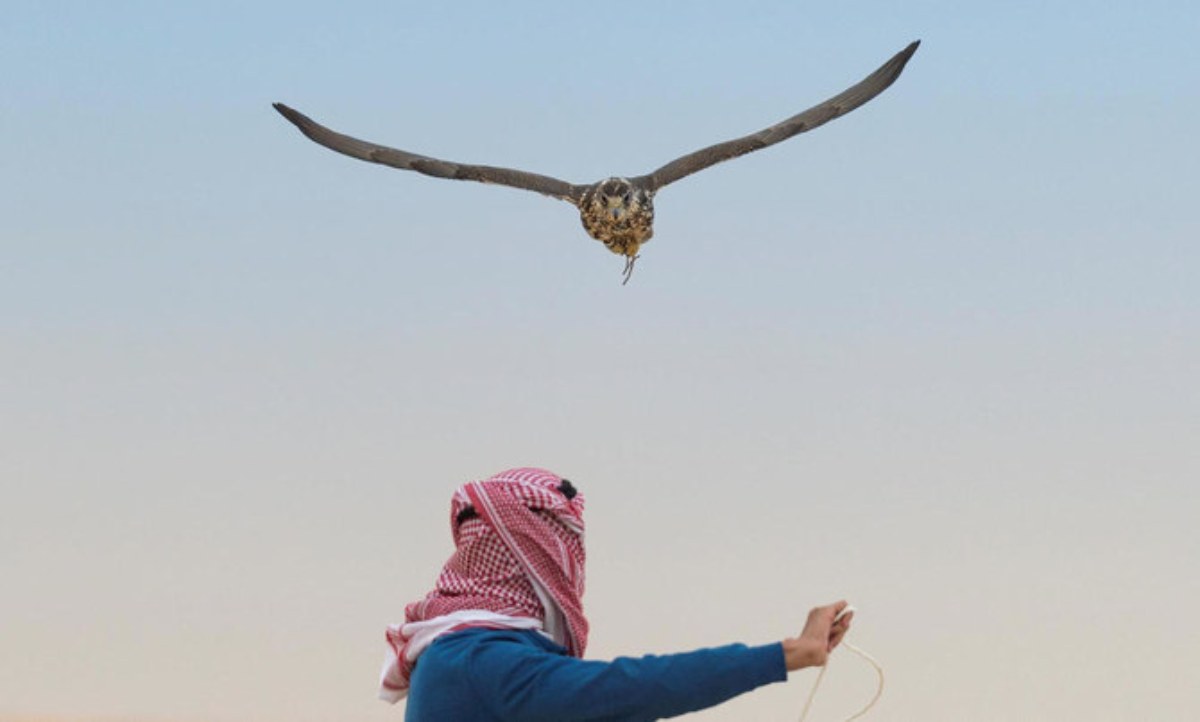 انطلاق مهرجان الصقور 2021 وجوائز أكثر من 25 مليون سعودي للفائزين
