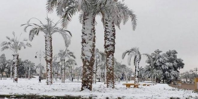 فلكية جدة: بداية فصل الشتاء في المملكة من غد الثلاثاء 21 ديسمبر فلكياً 
