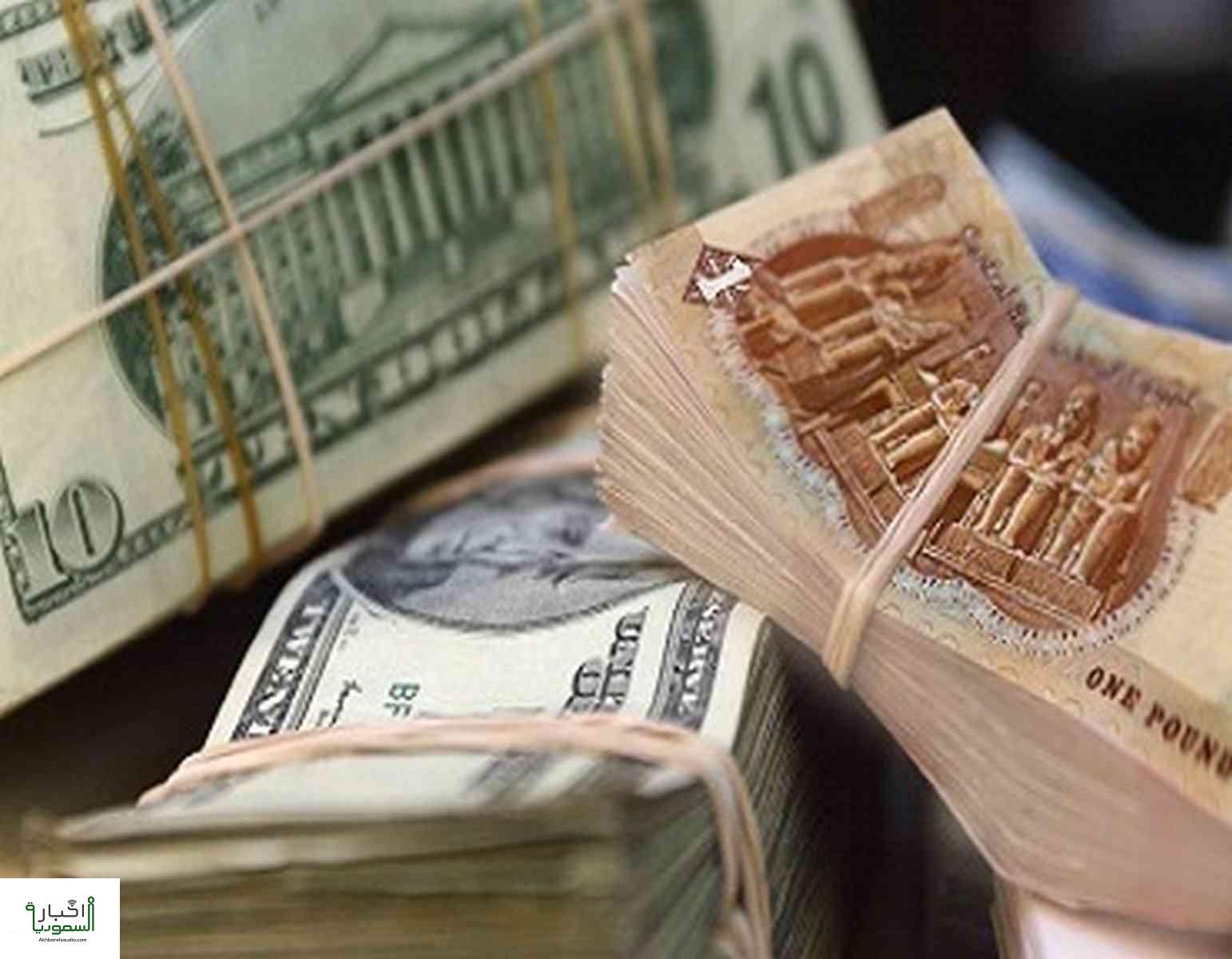 الجنيه المصري يسجل رقم قياسي أمام الدولار